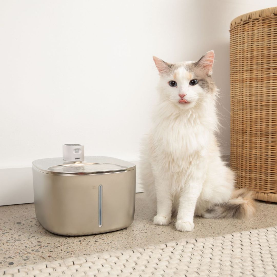Sipurr™ | Kattfontän