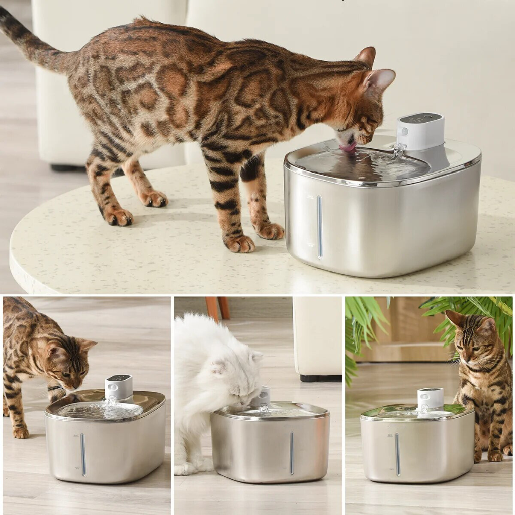 Sipurr™ | Kattfontän