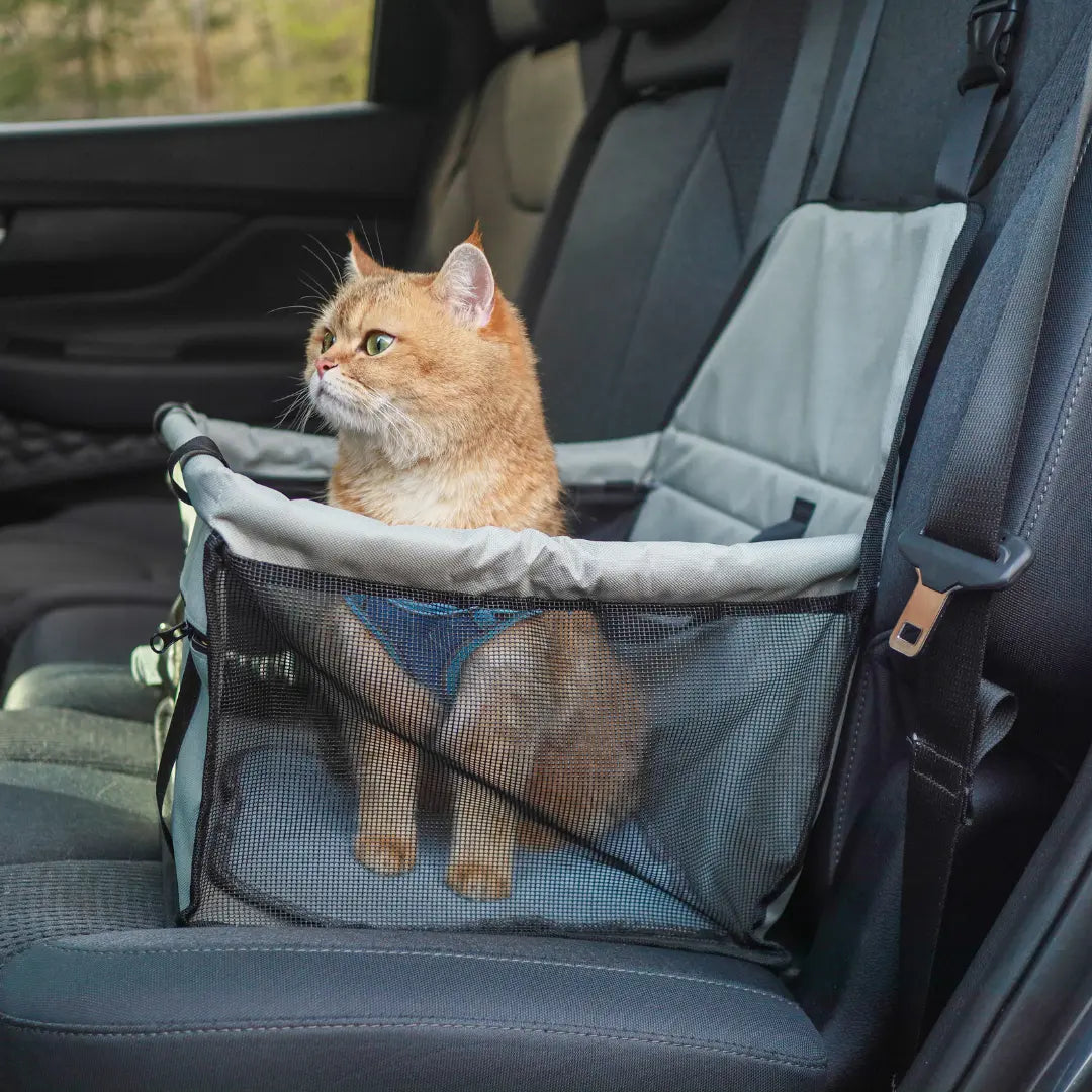 PurrfectRide™ Bilbarnstol – Luftig Komfort för Små & Mellanstora Husdjur