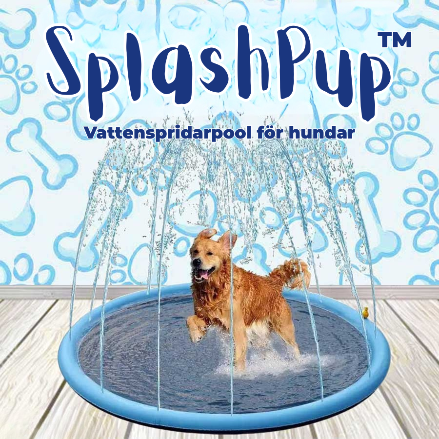 SplashPup™ – Vattenspridarpool för hundar