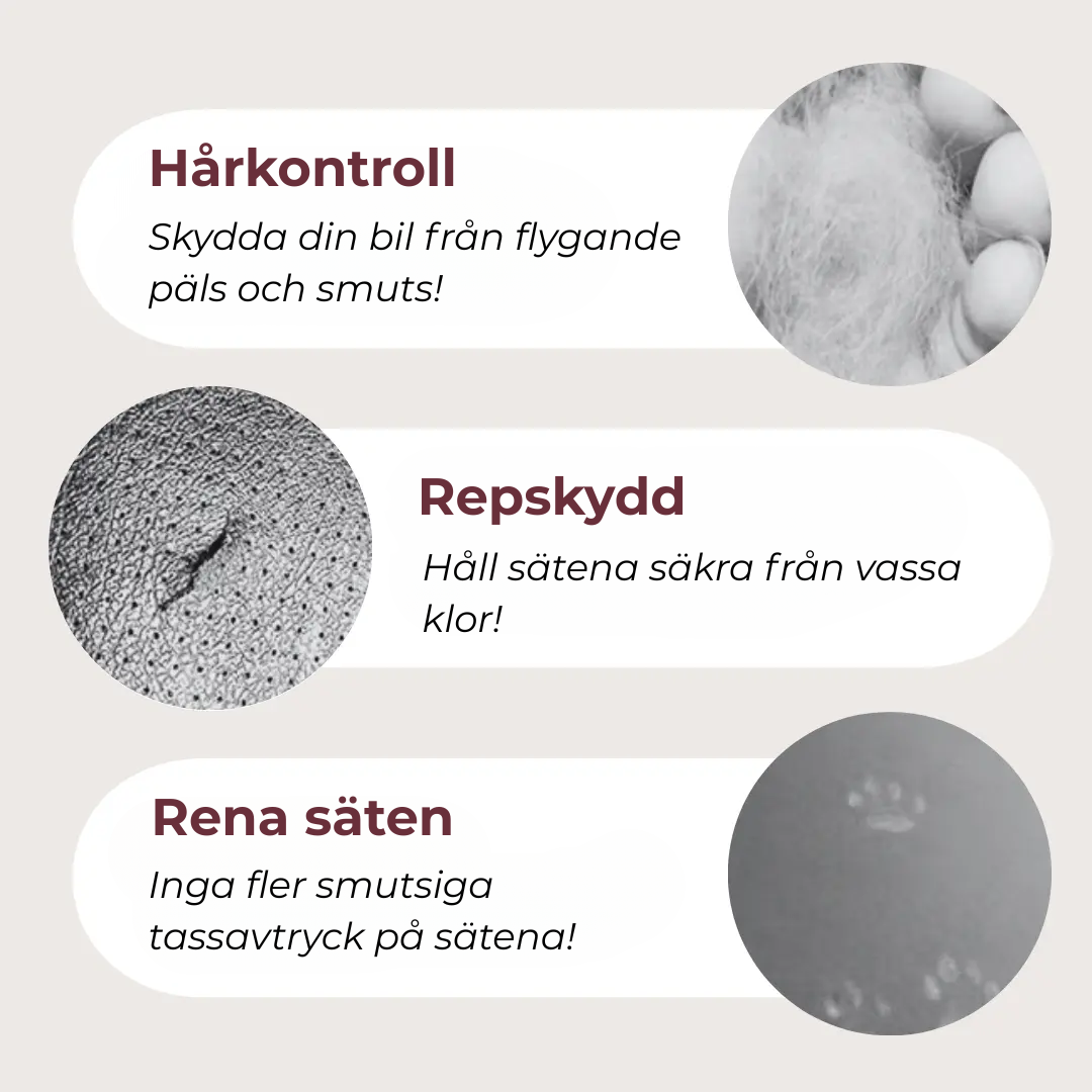Rymlig, ventilerad bilstol för husdjur