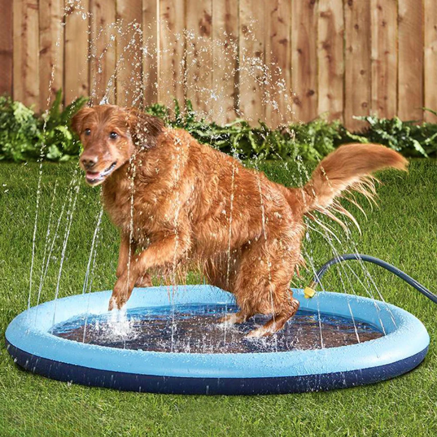 SplashPup™ – Vattenspridarpool för hundar
