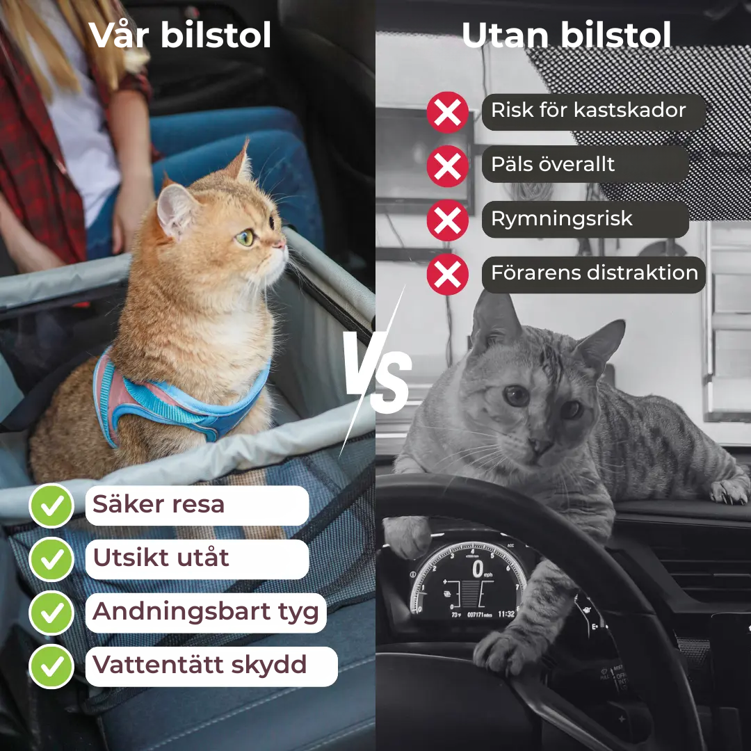 Rymlig, ventilerad bilstol för husdjur