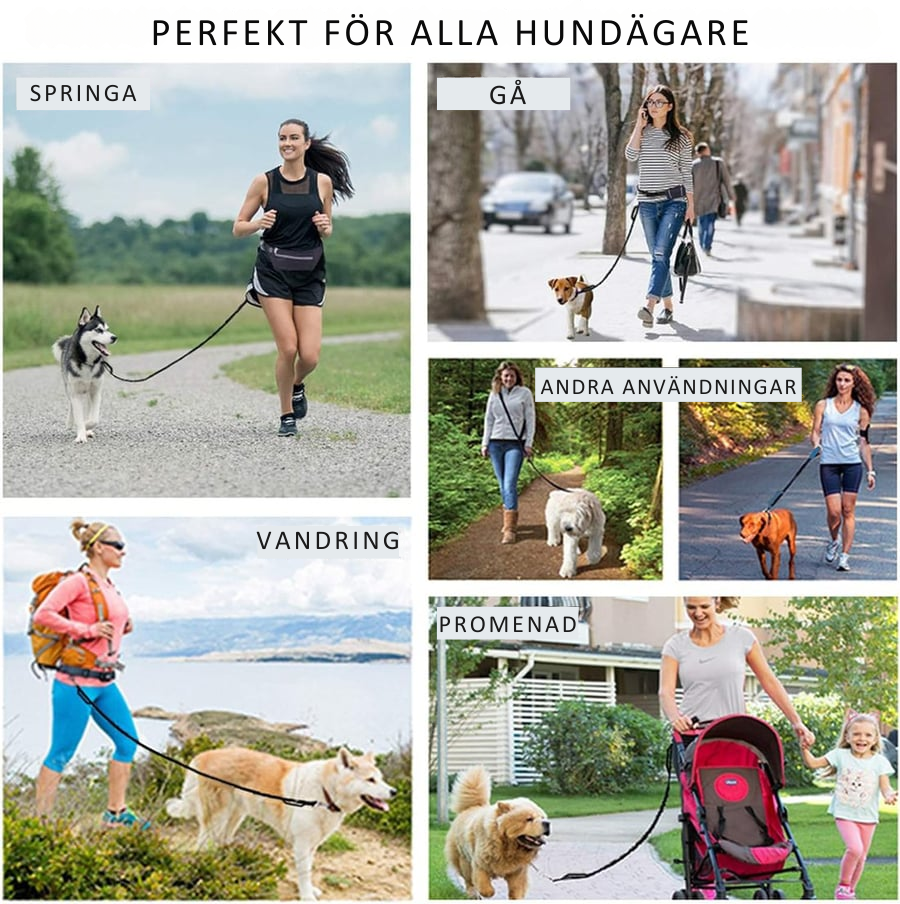 DoggoBelt™ | Handsfree hundkoppel med dragkedjeficka